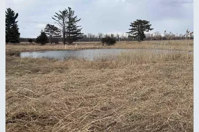 44+/- Acres 14th Road, Montello, WI 53949 - Photo 9