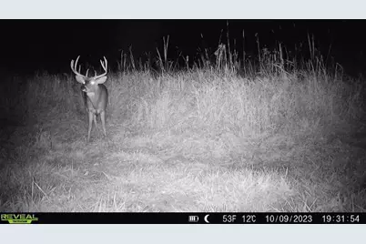 44+/- Acres 14th Road, Montello, WI 53949 - Photo 25