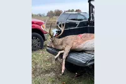 44+/- Acres 14th Road, Montello, WI 53949 - Photo 19