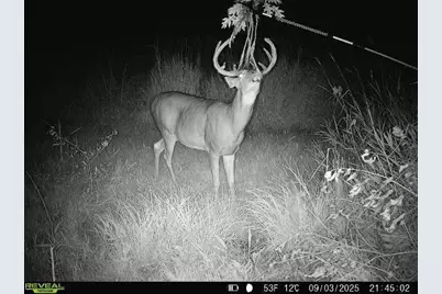 44+/- Acres 14th Road, Montello, WI 53949 - Photo 5