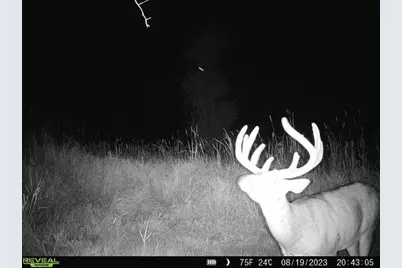 44+/- Acres 14th Road, Montello, WI 53949 - Photo 27