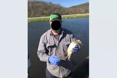 271.18 Acres Zwettler/Foster Road, Arena, WI 53503 - Photo 47