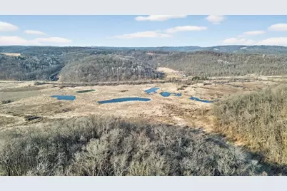 271.18 Acres Zwettler/Foster Road, Arena, WI 53503 - Photo 21