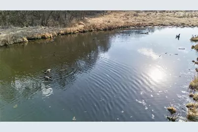 271.18 Acres Zwettler/Foster Road, Arena, WI 53503 - Photo 33