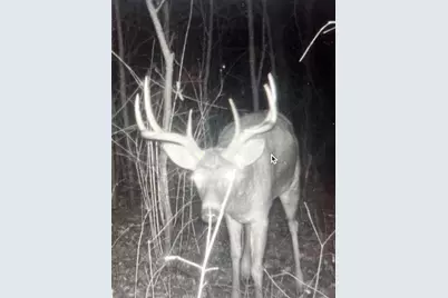 271.18 Acres Zwettler/Foster Road, Arena, WI 53503 - Photo 41