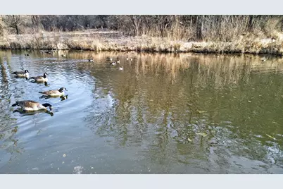 271.18 Acres Zwettler/Foster Road, Arena, WI 53503 - Photo 35