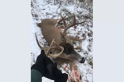 271.18 Acres Zwettler/Foster Road, Arena, WI 53503 - Photo 43