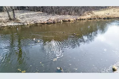 271.18 Acres Zwettler/Foster Road, Arena, WI 53503 - Photo 31