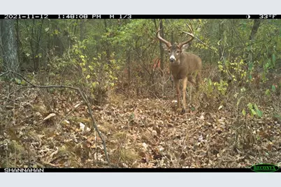 271.18 Acres Zwettler/Foster Road, Arena, WI 53503 - Photo 39