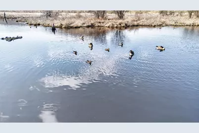 271.18 Acres Zwettler/Foster Road, Arena, WI 53503 - Photo 37