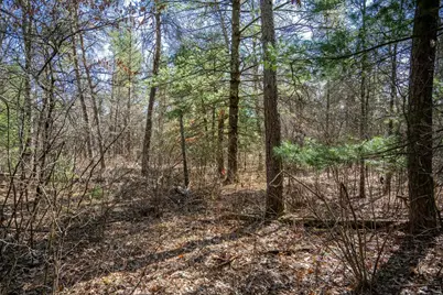 Lot 3 Morros Mile Road, Necedah, WI 54646 - Photo 9