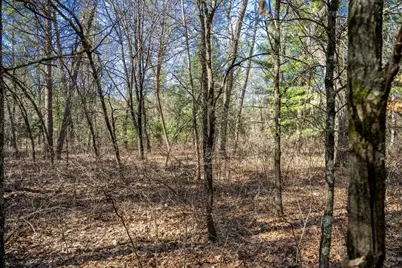 Lot 3 Morros Mile Road, Necedah, WI 54646 - Photo 13