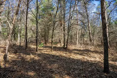 Lot 3 Morros Mile Road, Necedah, WI 54646 - Photo 19