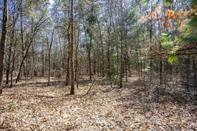 Lot 3 Morros Mile Road, Necedah, WI 54646 - Photo 23