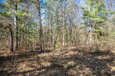 Lot 3 Morros Mile Road, Necedah, WI 54646 - Photo 21