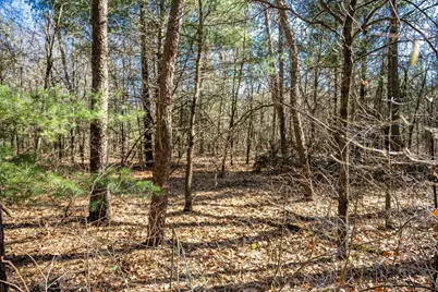 Lot 3 Morros Mile Road, Necedah, WI 54646 - Photo 17