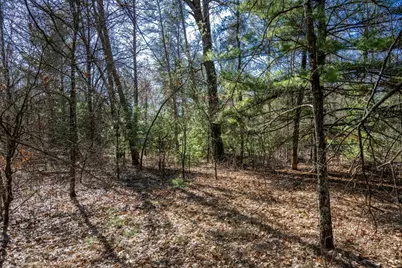 Lot 3 Morros Mile Road, Necedah, WI 54646 - Photo 25