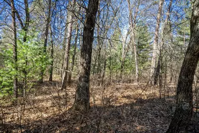 Lot 4 Morros Mile Road, Necedah, WI 54646 - Photo 9