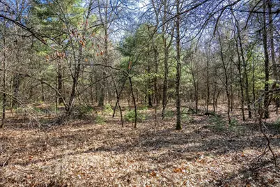 Lot 4 Morros Mile Road, Necedah, WI 54646 - Photo 27