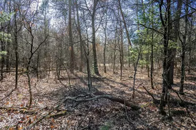 Lot 4 Morros Mile Road, Necedah, WI 54646 - Photo 25