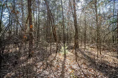 Lot 4 Morros Mile Road, Necedah, WI 54646 - Photo 15