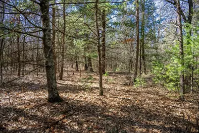 Lot 4 Morros Mile Road, Necedah, WI 54646 - Photo 17