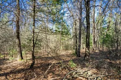 Lot 4 Morros Mile Road, Necedah, WI 54646 - Photo 19