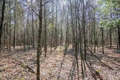 Lot 4 Morros Mile Road, Necedah, WI 54646 - Photo 23