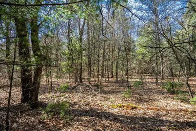 Lot 4 Morros Mile Road, Necedah, WI 54646 - Photo 13