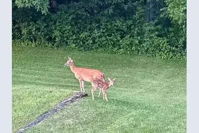 N7012 County Rd J Road, Adams, WI 53570 - Photo 59