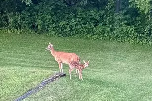N7012 County Rd J Rd, Monticello, WI 53570 - Photo 59