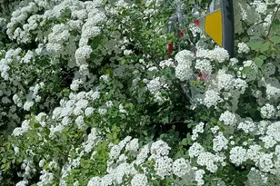 S4331 Draper St, Baraboo, WI 53913 - Photo 39