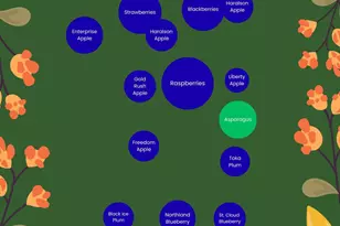 S4331 Draper St, Baraboo, WI 53913 - Photo 49