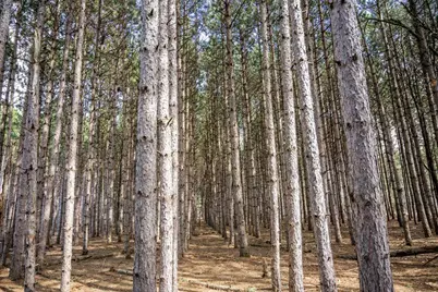 W4932 10th Street, Necedah, WI 54646 - Photo 11