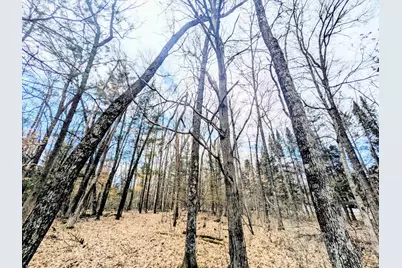 0 11th Avenue, Friendship, WI 53934 - Photo 3