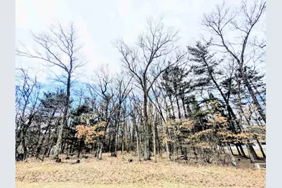 0 11th Avenue, Friendship, WI 53934 - Photo 1