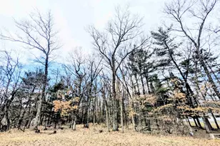 0 11th Ave, Friendship, WI 53934 - Photo 1