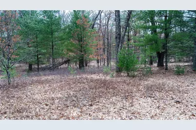 Lot 3 +/- 87 Ac Dover Drive, Adams, WI 53910 - Photo 13