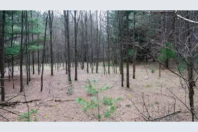 Lot 3 +/- 87 Ac Dover Drive, Adams, WI 53910 - Photo 7