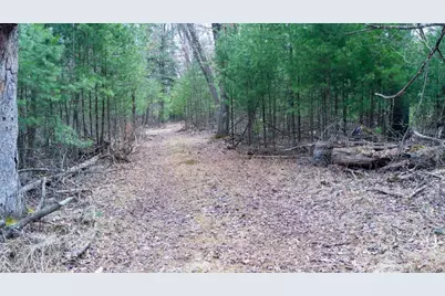 Lot 3 +/- 87 Ac Dover Drive, Adams, WI 53910 - Photo 25