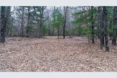 Lot 3 +/- 87 Ac Dover Drive, Adams, WI 53910 - Photo 9