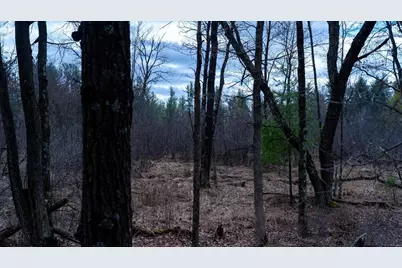 Lot 3 +/- 87 Ac Dover Drive, Adams, WI 53910 - Photo 21