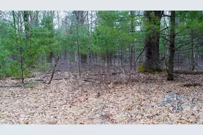 Lot 3 +/- 87 Ac Dover Drive, Adams, WI 53910 - Photo 31