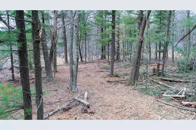 Lot 3 +/- 87 Ac Dover Drive, Adams, WI 53910 - Photo 27