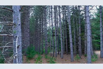 Lot 3 +/- 87 Ac Dover Drive, Adams, WI 53910 - Photo 35