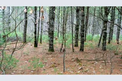 Lot 3 +/- 87 Ac Dover Drive, Adams, WI 53910 - Photo 5