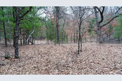 Lot 3 +/- 87 Ac Dover Drive, Adams, WI 53910 - Photo 11