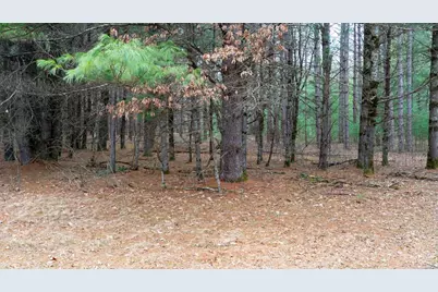 Lot 3 +/- 87 Ac Dover Drive, Adams, WI 53910 - Photo 33