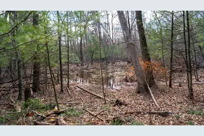 Lot 4 +/- 111Ac Dover Drive, Adams, WI 53910 - Photo 13