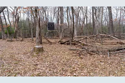 Lot 4 +/- 111Ac Dover Drive, Adams, WI 53910 - Photo 9